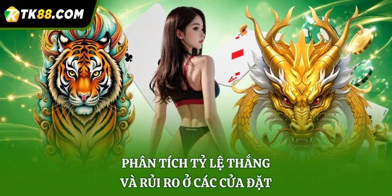 Phân tích tỷ lệ thắng và rủi ro ở các cửa đặt